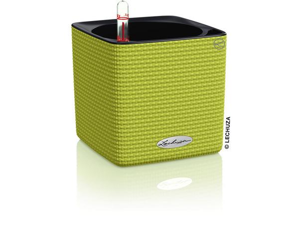 LECHUZA® CUBE Color, All-in-One Set