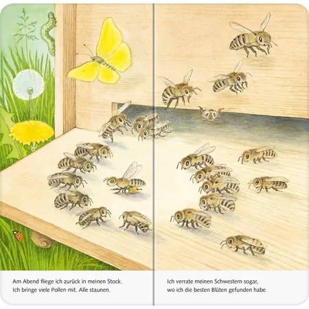 Ravensburger Mein Naturstart - Ich bin die kleine Biene