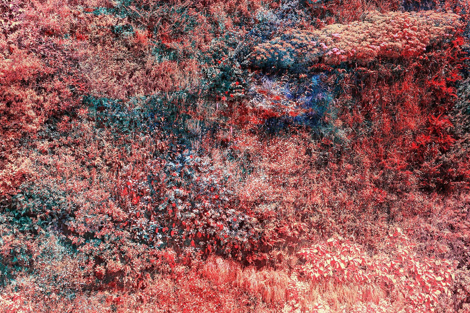 Wall of Nature XXI by Viet Ha Tran - Limited Edition. Edition of: 150. Signed.