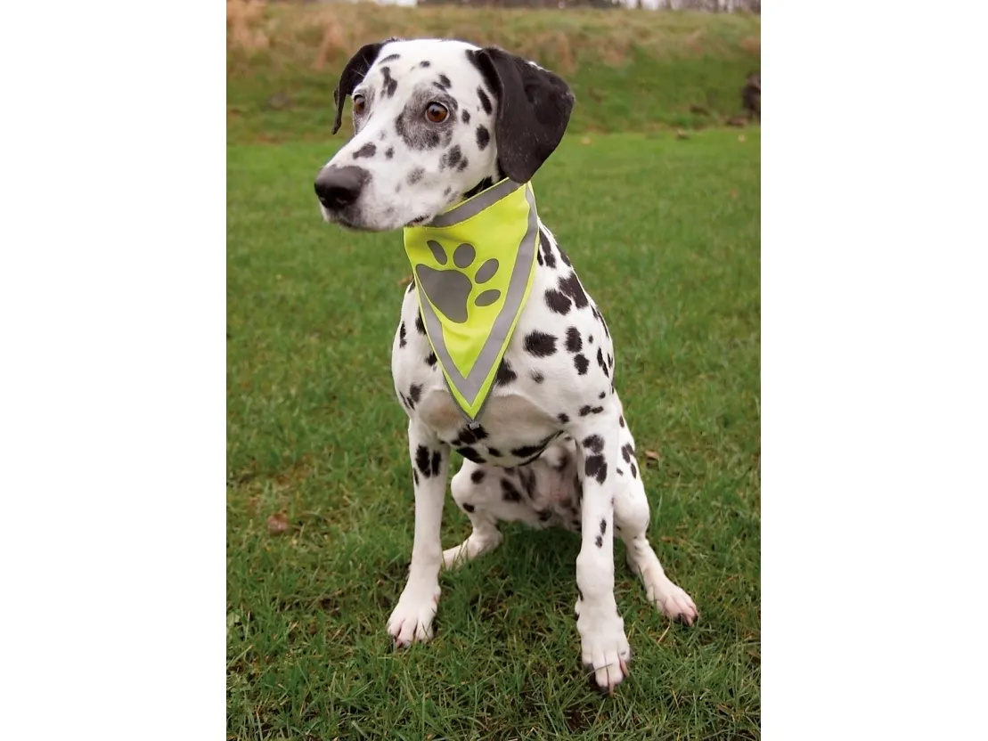 Trixie Bandana, reflekterende, 45 x 23