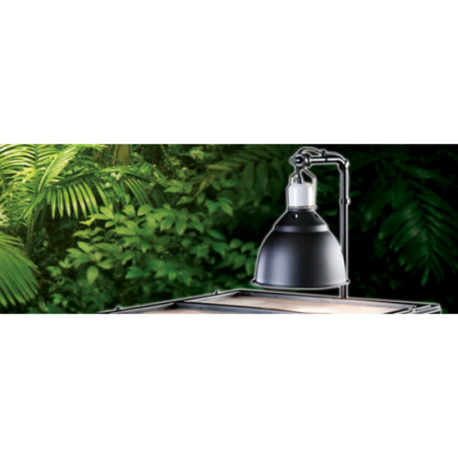 Support pour dôme d’éclairage Light bracket Exo Terra