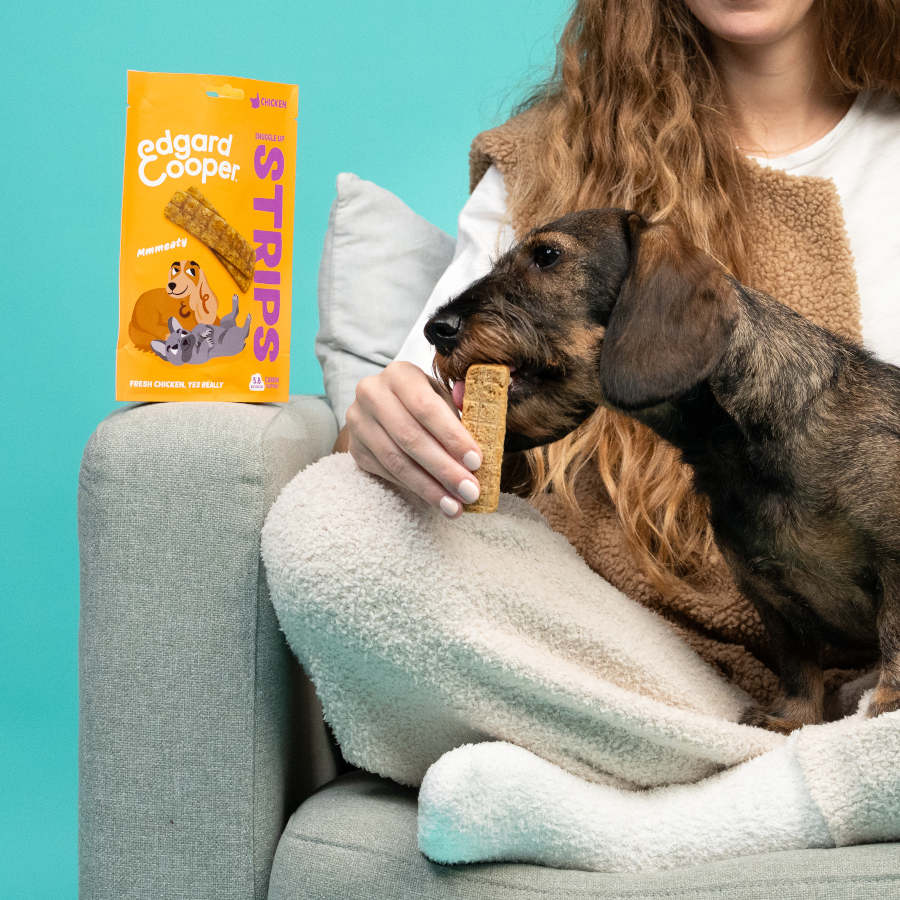 Tiras de frango Edgard & Cooper para cães
