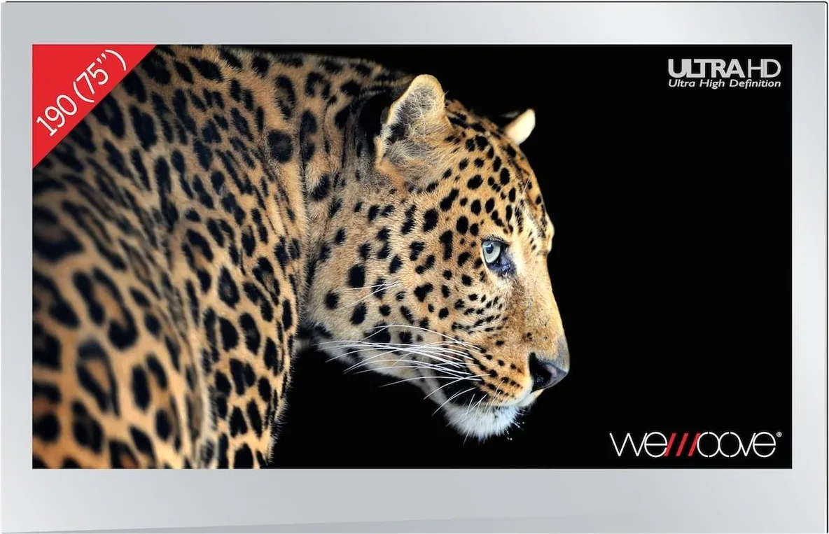 Wemoove WM-SFMTV755UHD TV LED