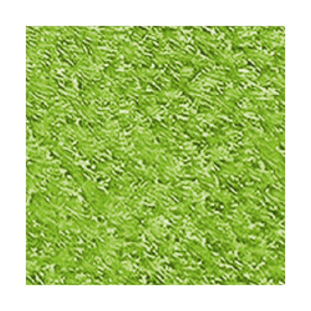 Brosse pour enlever les poils (7 x 4 x 33 cm)