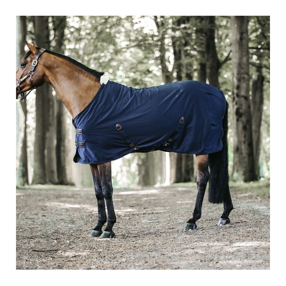 Kentucky COTON - Chemise navy