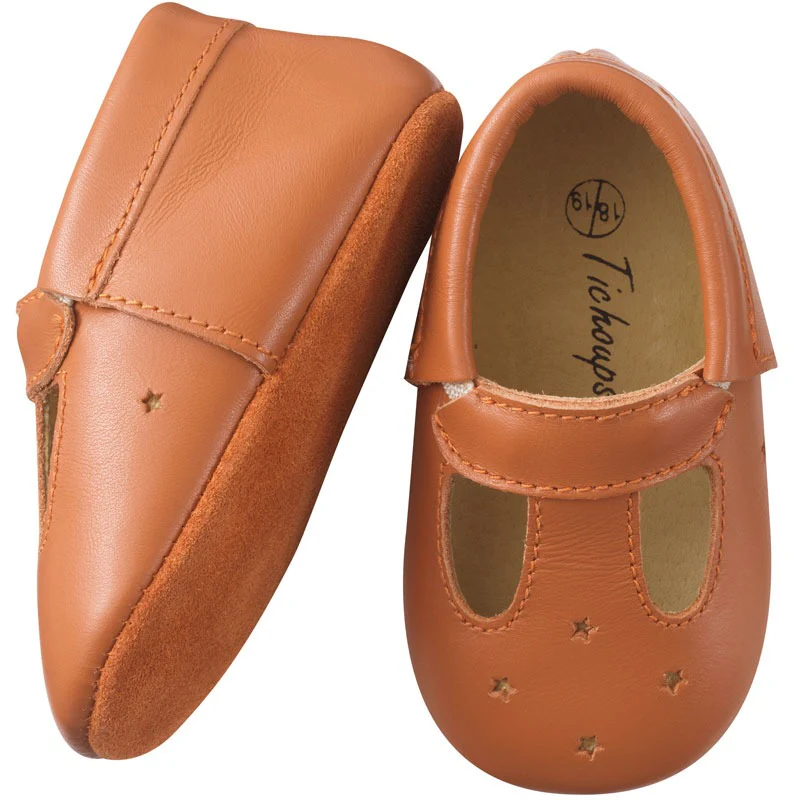 Touti camel