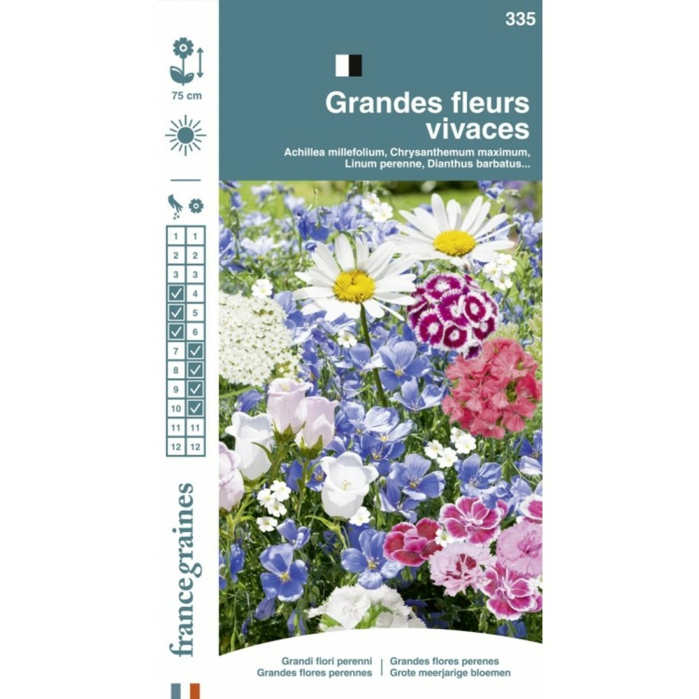 France graines - mélange fleurs vivaces grandes