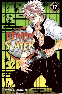 Demon Slayer: Kimetsu no Yaiba, Vol. 17 - Demon Slayer: Kimetsu no Yaiba 17 (Paperback)