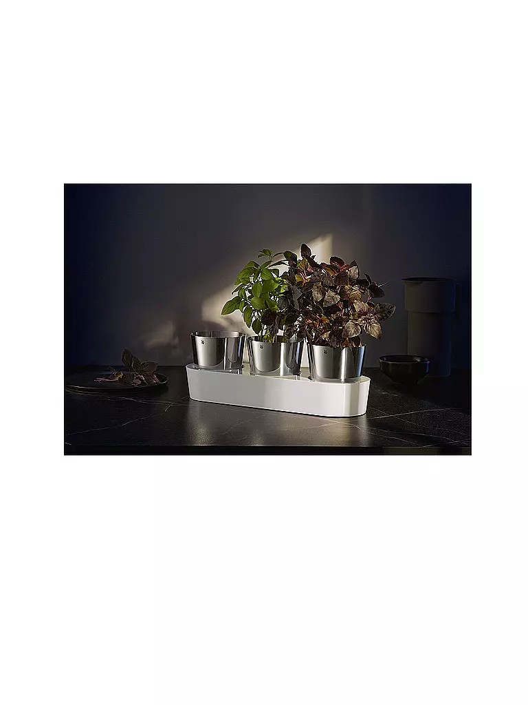 WMF Gourmet Indoor Kräutergarten Set 3-tlg Cromargan / Weiss silber