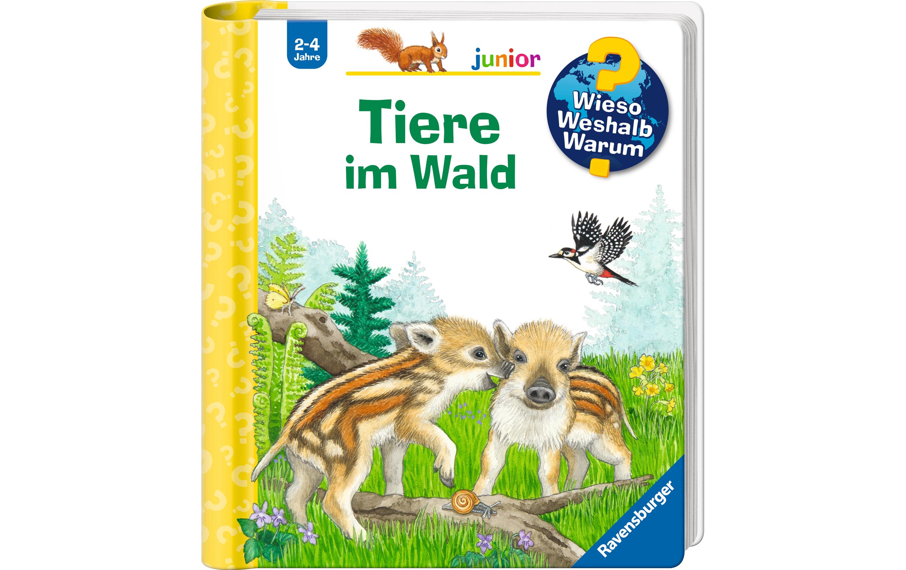Kinder-Sachbuch WWW junior: Tiere im WaldKlappbuch