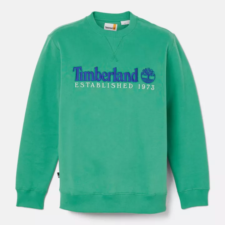 Moletom masculino verde com gola redonda e logo 