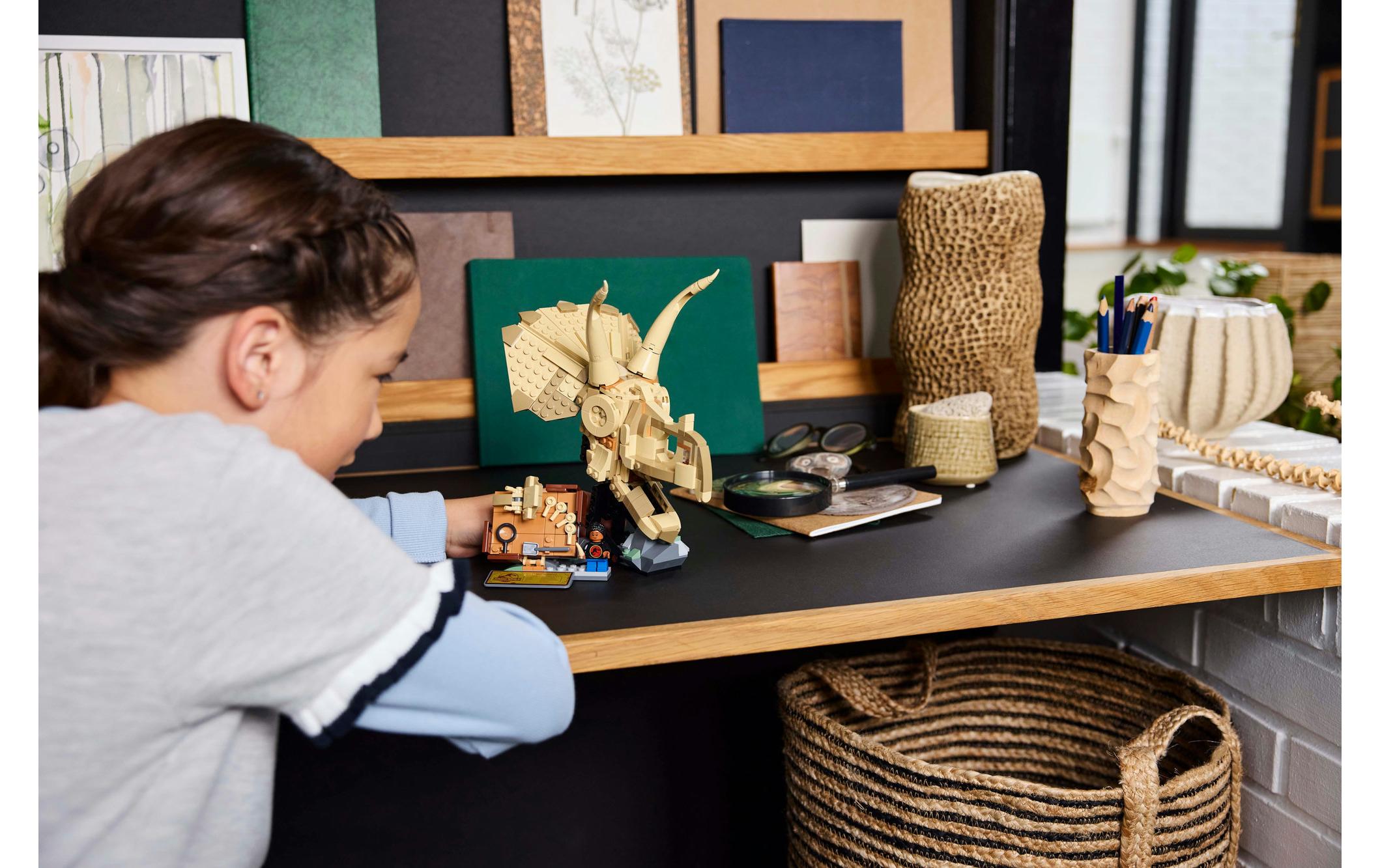 Jurassic World Triceratops-Schädel 76969Dinosaurier-Fossilien zum Sammeln und Ausstellen