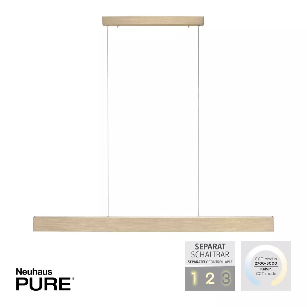 LED-Pendelleuchte Pure-Motion