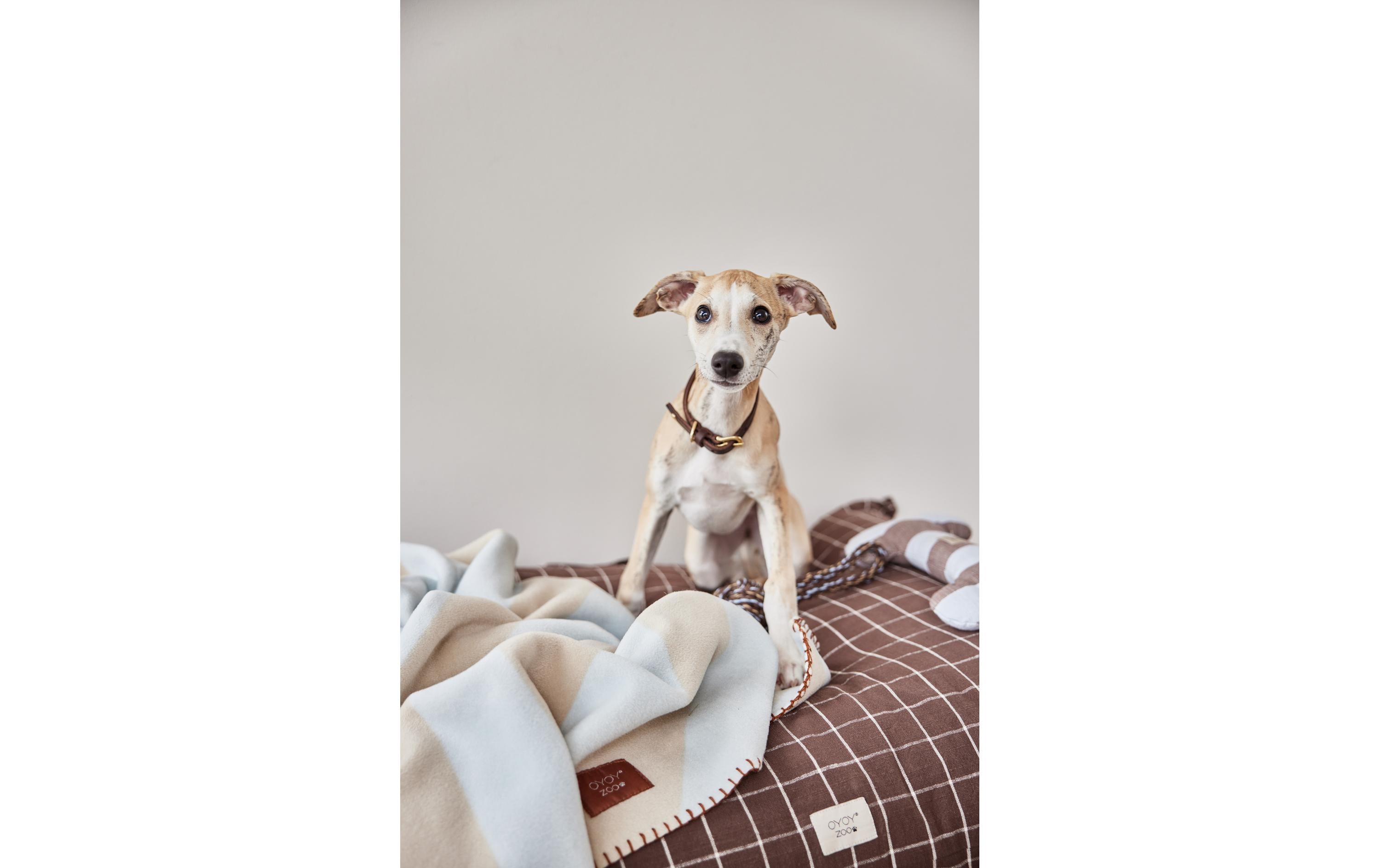 Hunde-Decke Kaya, L, IceDecke