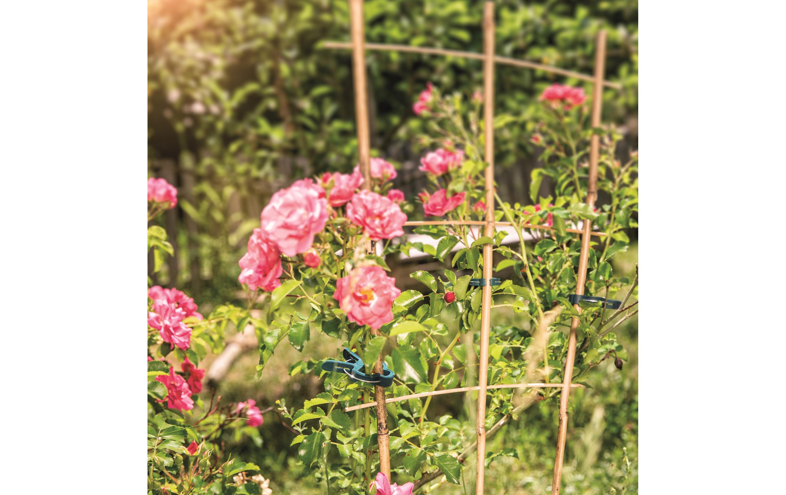 Pflanzenhalter Set 50-teiligGarten-Zubehör: Fixierung