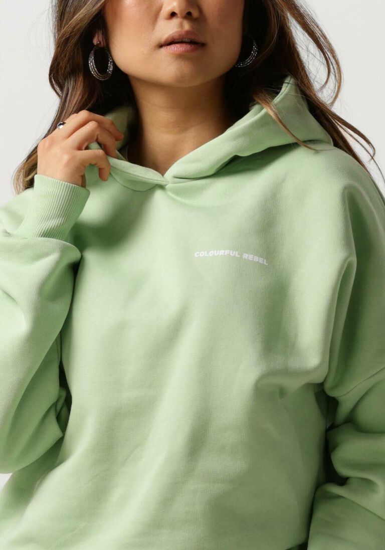 COLOURFUL REBEL mint colourful rebel trui cr back logo dropped shoulder hoodie