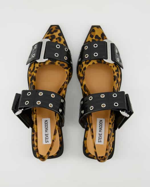 Steve Madden Grand Ave-L Ballerinas in Schwarz