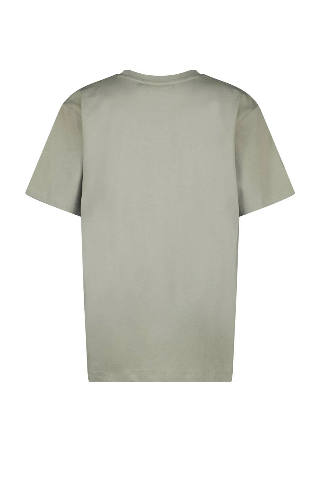 Raizzed T-shirt Hush met printopdruk grijsgroen/wit