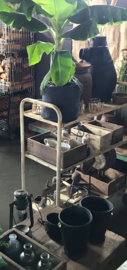 Industriele Trolley