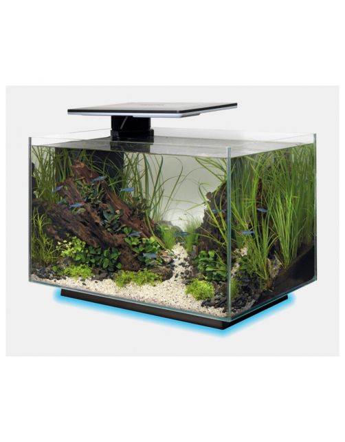Superfish Quadro 40 Multi Colour - Aquaria