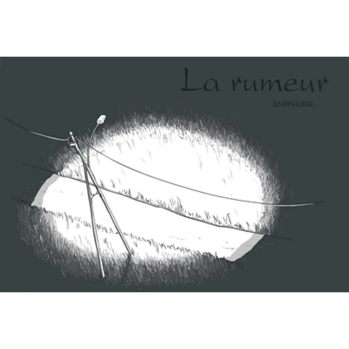 La rumeur · Occasion