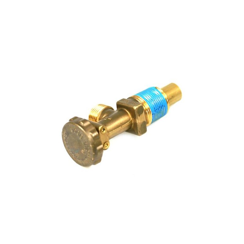 Gasentnahmeventil für Gastank Wohnmobil, Brenngastank 21,8mm Außengewinde x 3/4 Zoll NGT