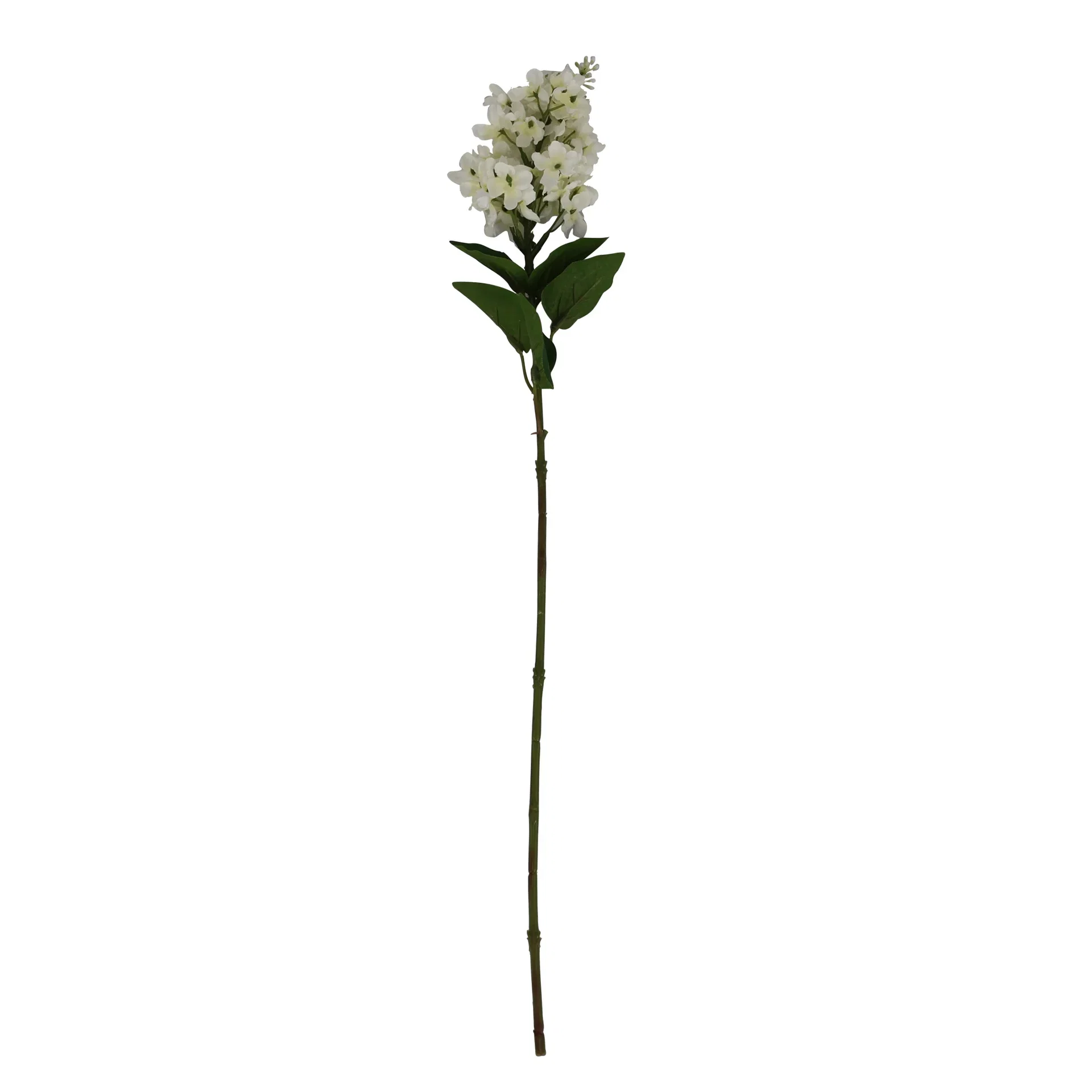 Syrin kvist kunstig Høyde 65 cm