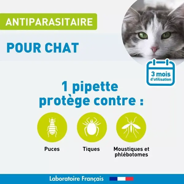 Vetoform, tratamento antiparasitário para gatos, 3 pipetas.