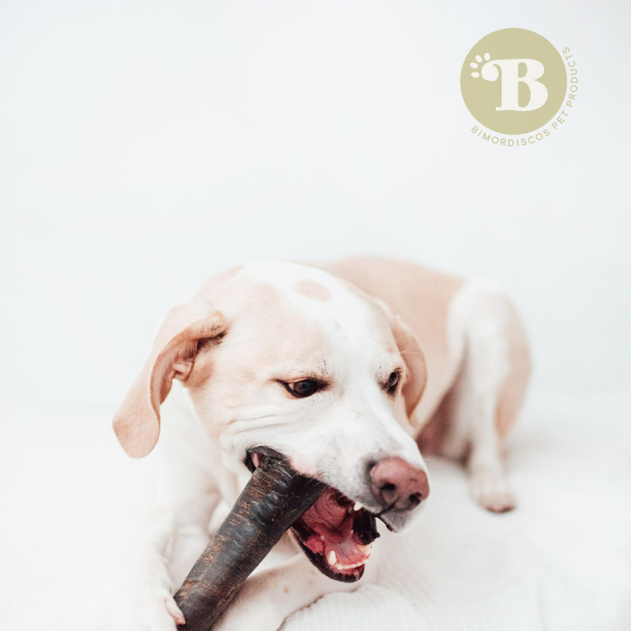 Brinquedo para mastigar para cães em formato de chifre de búfalo da BIMORDISCOS