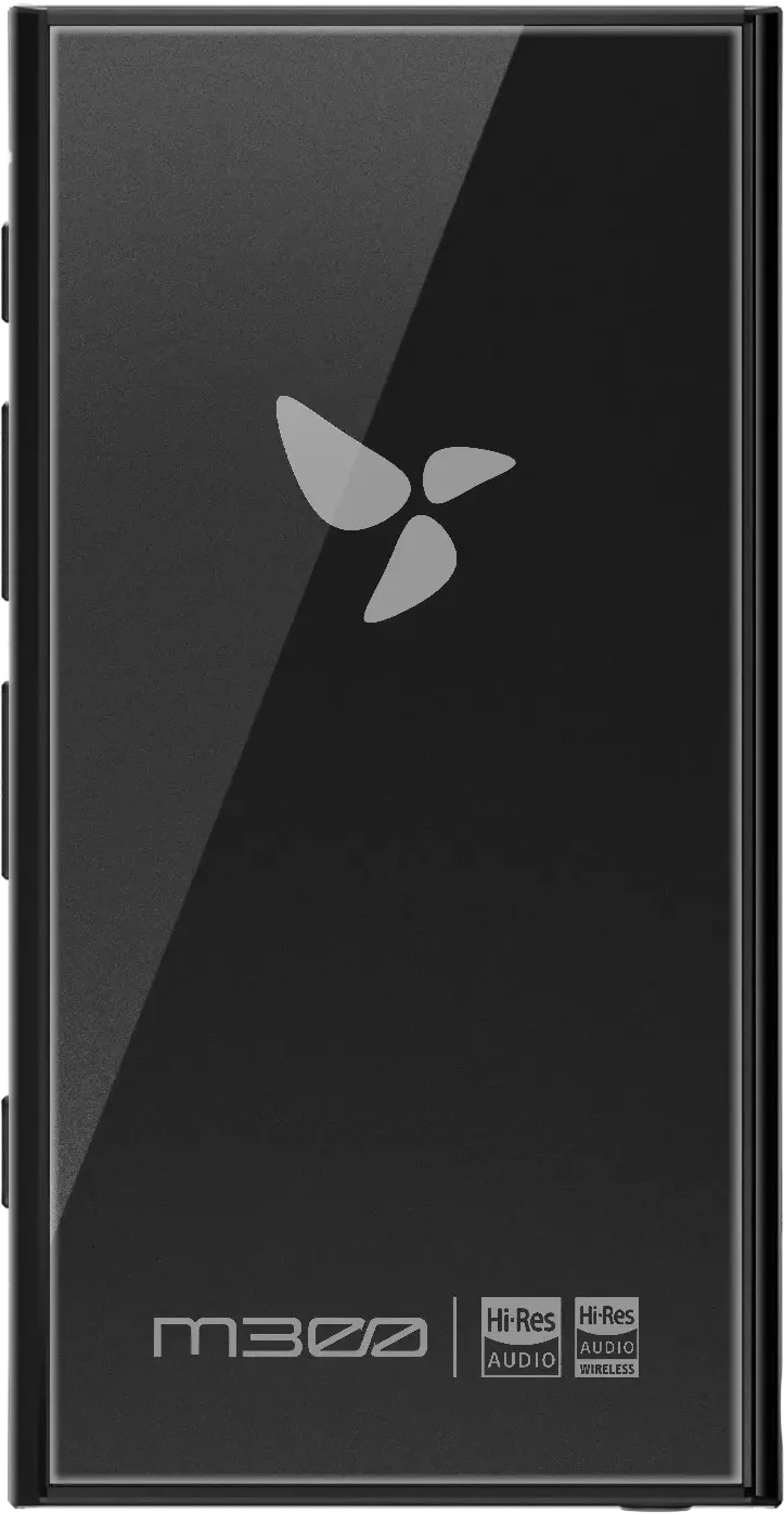 Hiby Digital M300 128 Noir Baladeurs audiophiles