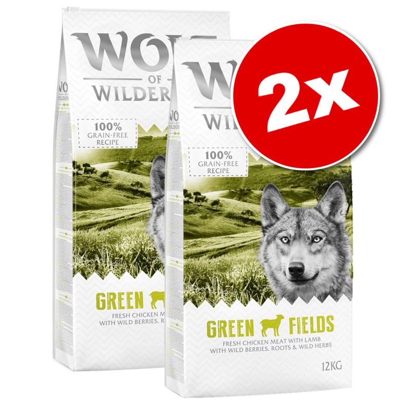 Lots économiques Wolf of Wilderness 2 x 12 kg