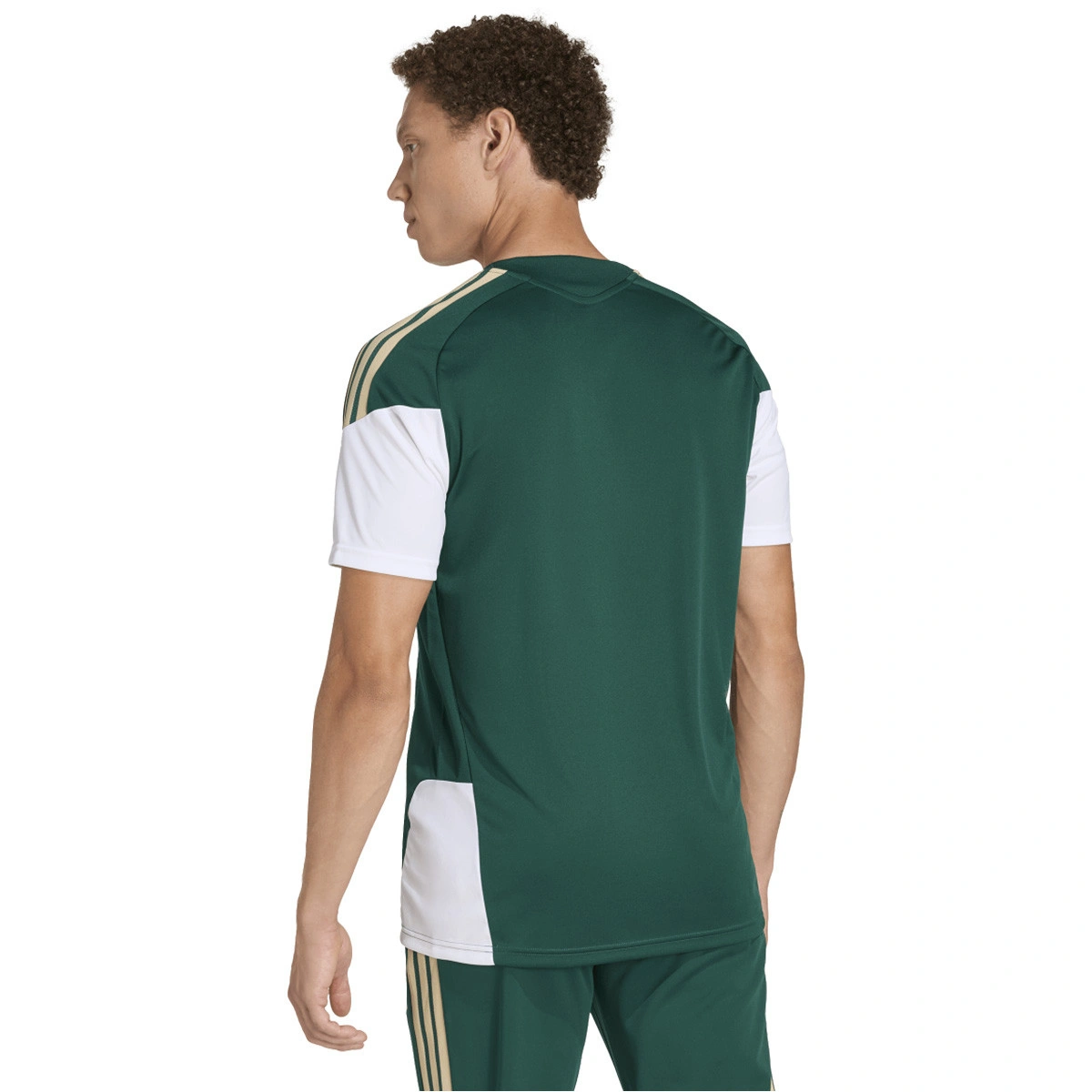 T-Shirt adidas Italia Training Mundial 2026