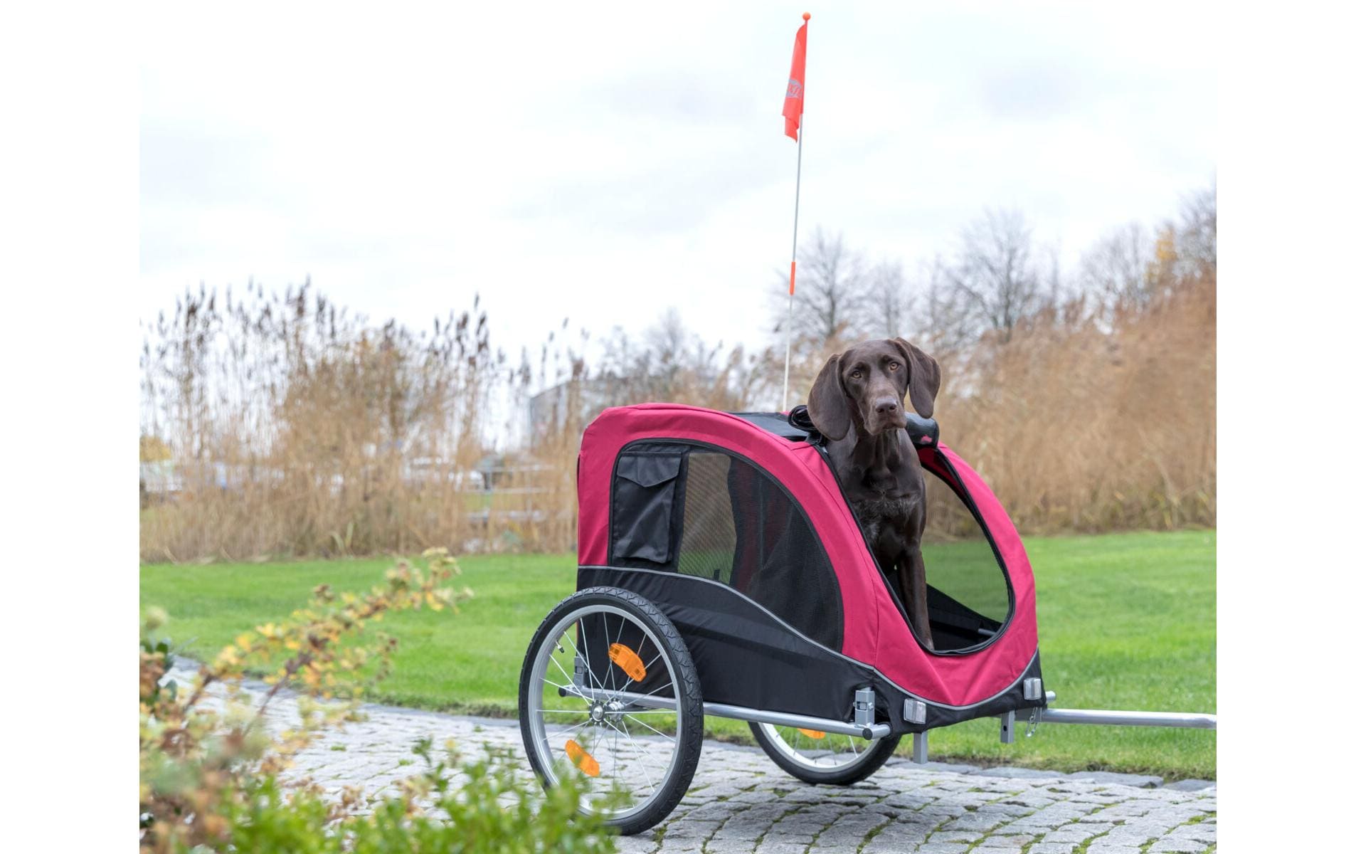 Fahrrad-Anhänger Grösse L<br>Fahrradanhänger für Hunde