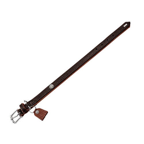 Hunter Halsband Cody