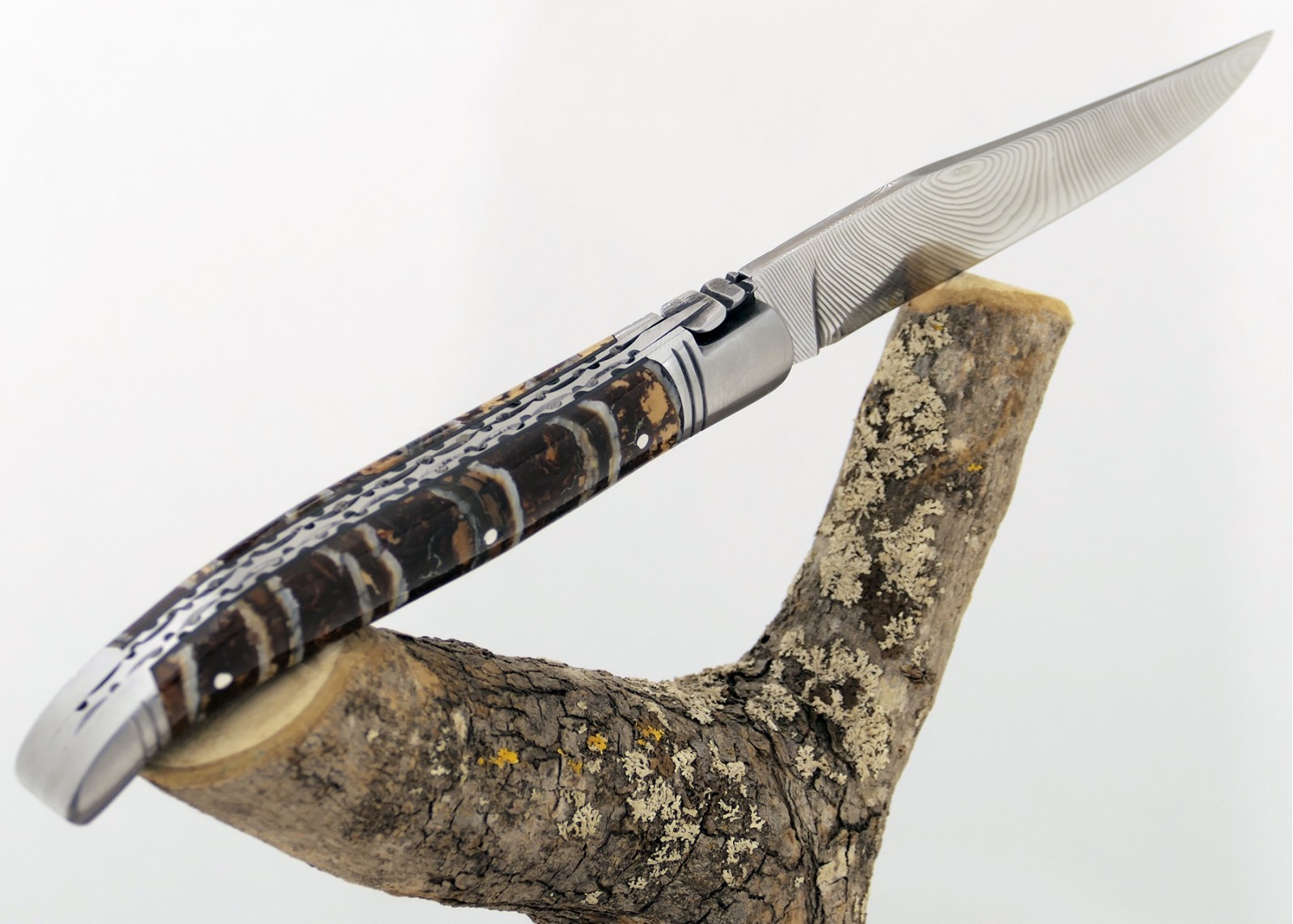 Couteau Laguiole avec un manche en Molaire de Mammouth Fossile