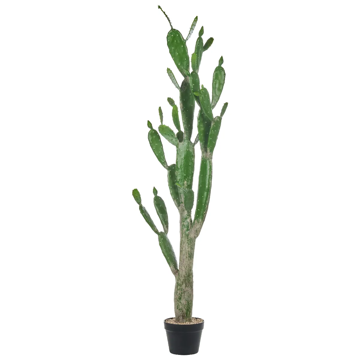 BELIANI OPUNTIA CACTUS 150 cm - Vert
