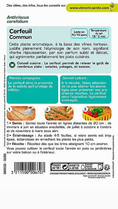 Graines de Cerfeuil Commun
