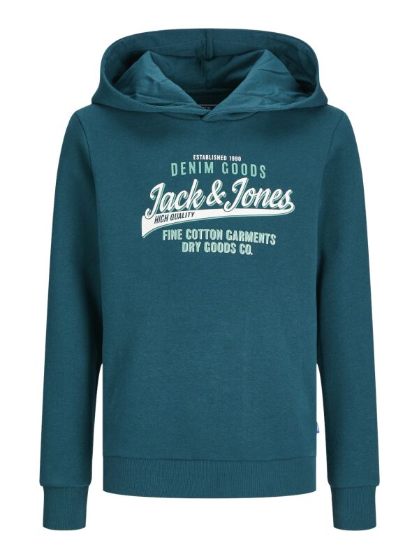 JJELogo 2Col - Sweat à Capuche | Jack & Jones junior Sweat-Shirt à capuche