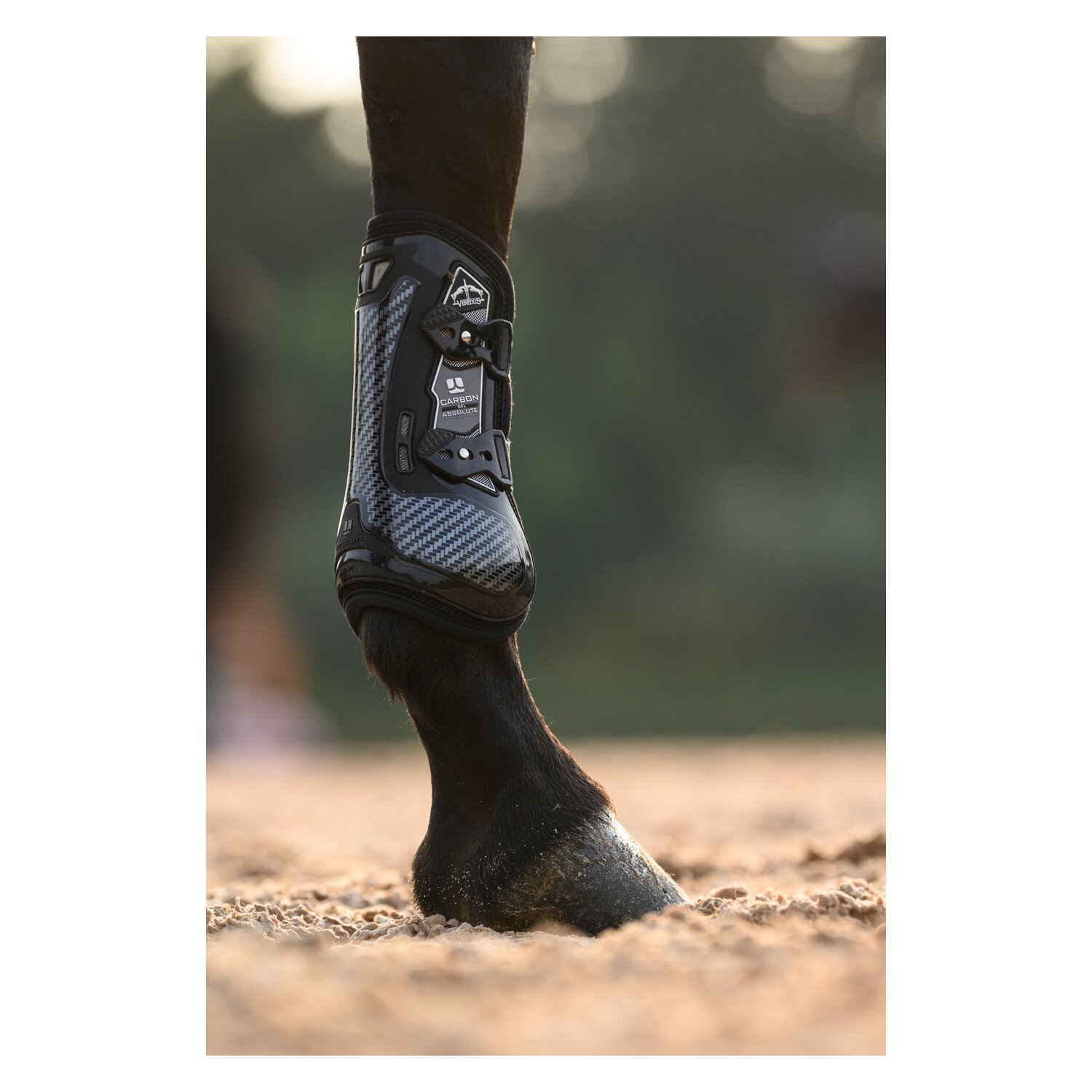 VEREDUS Gamaschen Carbon Gel Absolute, für die Vorderbeine  - black