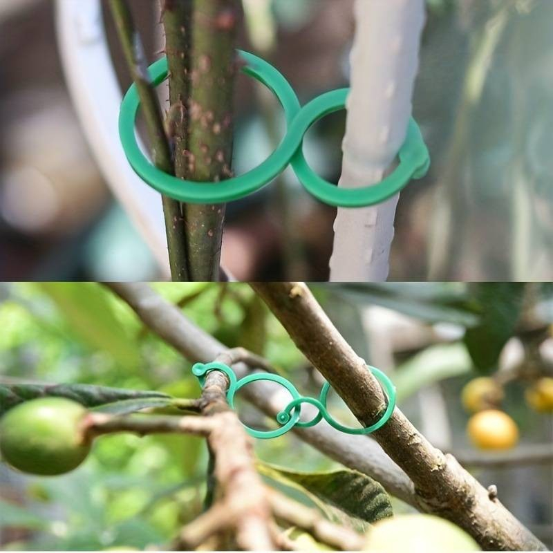 (50er Set) 30x40mm Garten Pflanzenklammern Pflanzenclips Rankhilfe - Grün