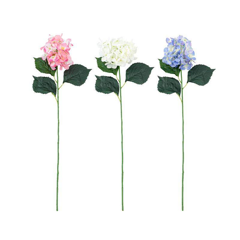Bouquet hortensia