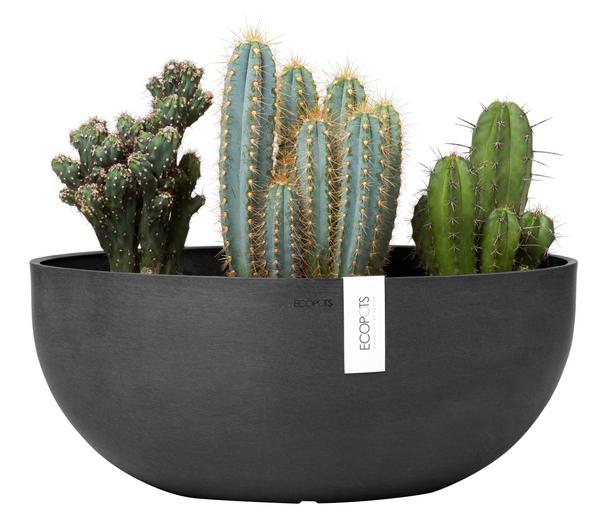 Ecopots Kunststoff-Schale Sofia mit
