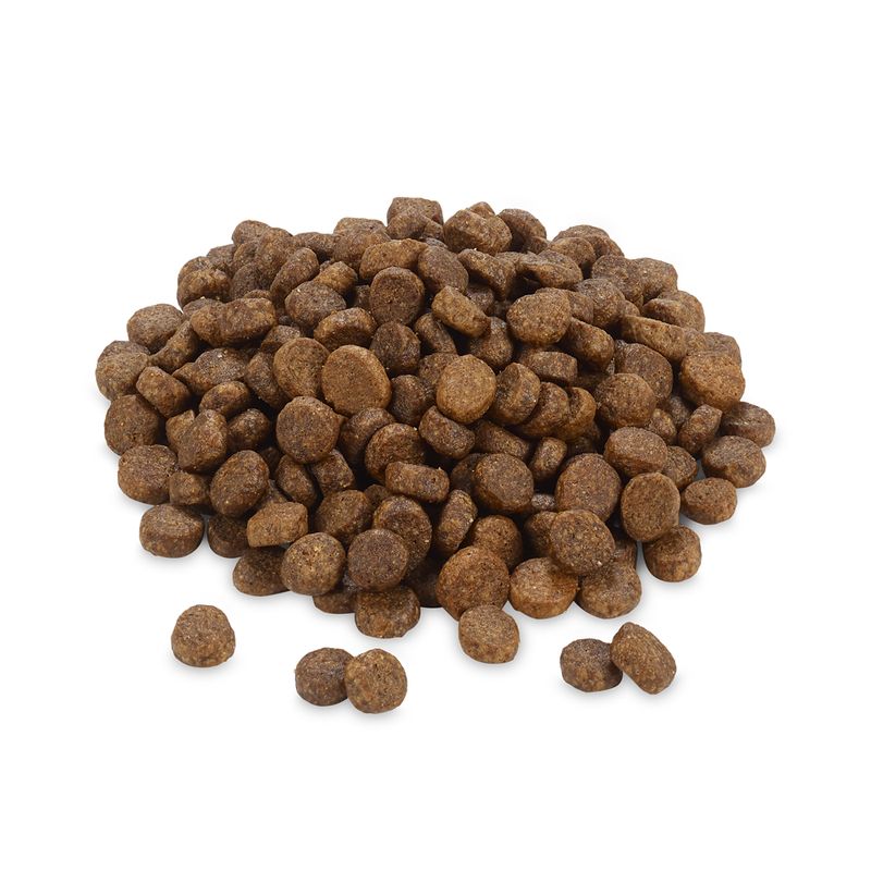 Greenwoods poulet, lentilles, pommes de terre, œuf pour chat
