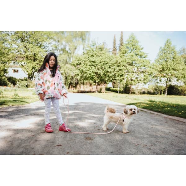 Hundesele Hunter SOHO MINI Rosa XS