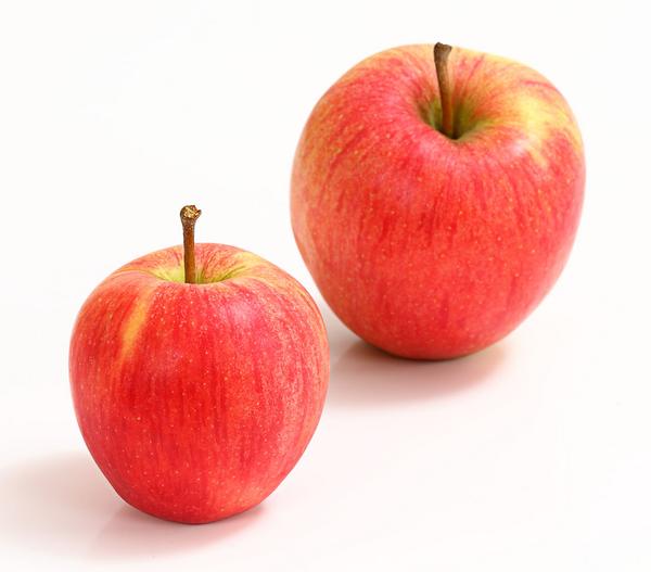 Winterapfel 'Pinova'