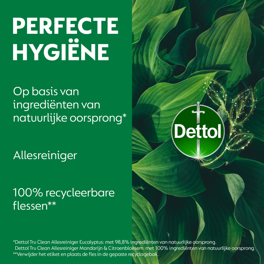 Dettol Allesreiniger Spray Mandarijn & Citroenbloesem500 ml