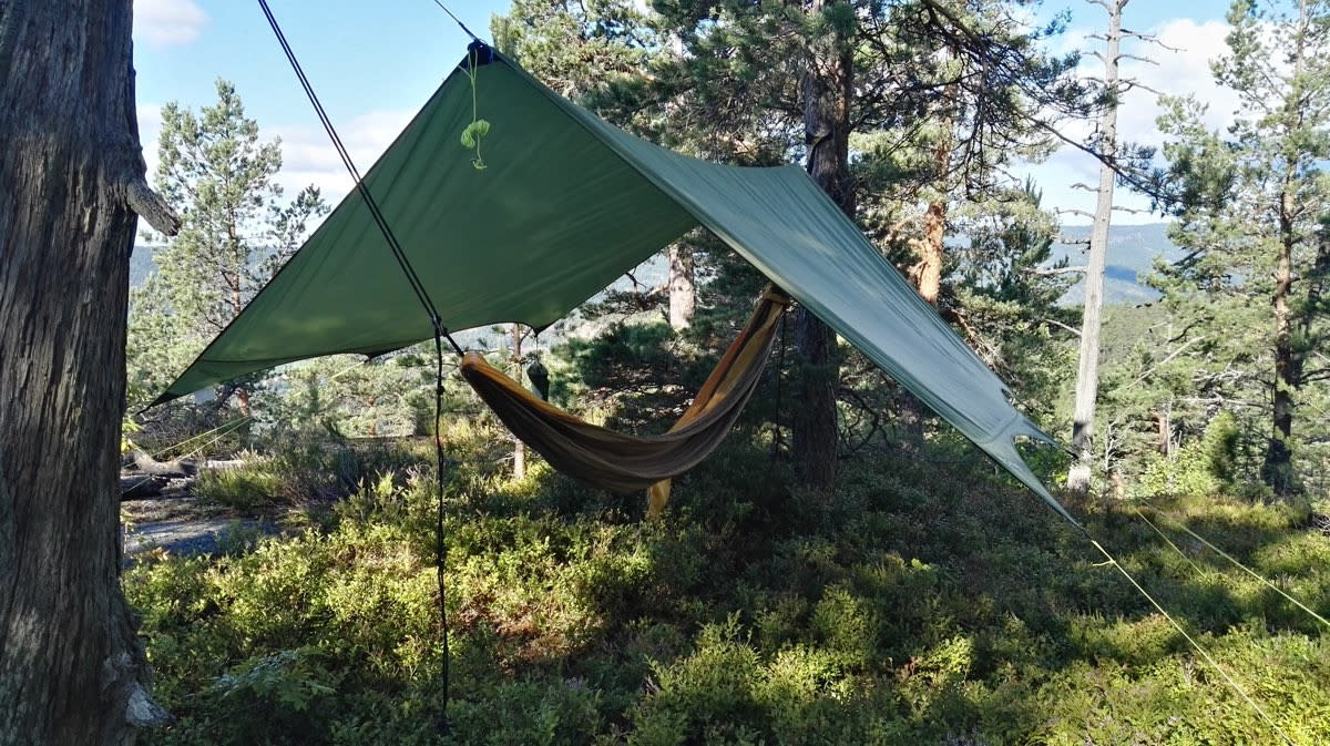Sydvang Tarp 9 Green
