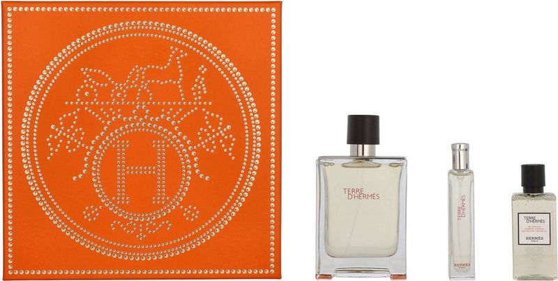 Hermes - Terre - Eau De Parfum - 100ml - Houtachtig - Citrus