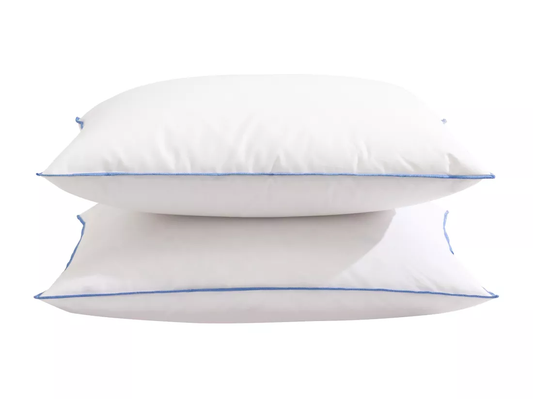 Lot de 2 oreillers moelleux/ferme duvet de canard anti-allergènes Someo 65x65