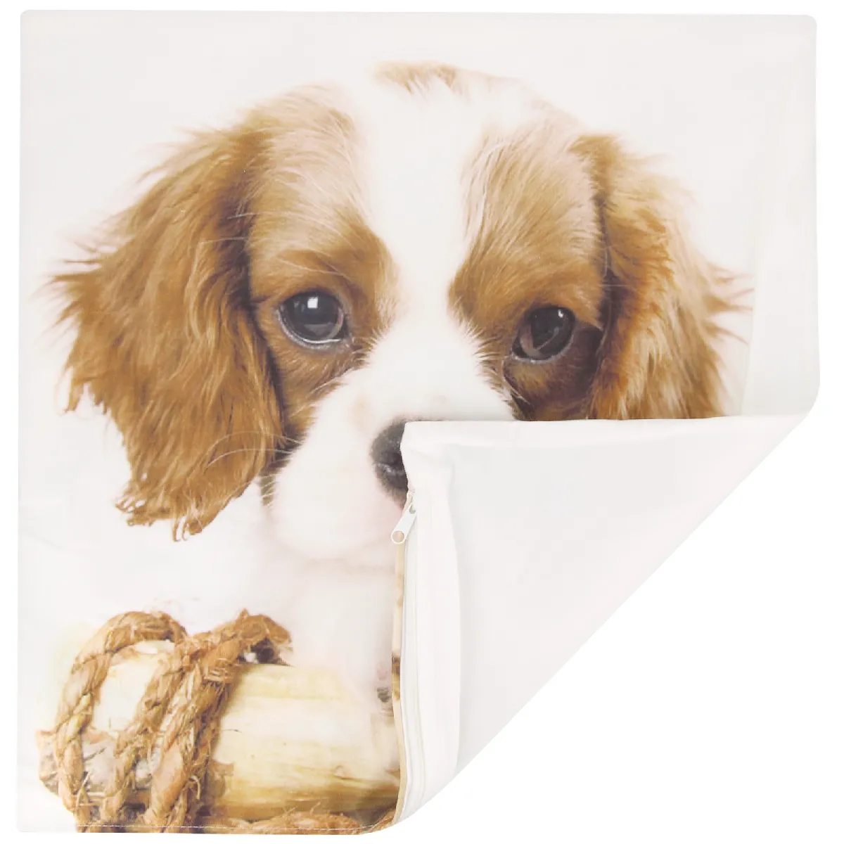 AVIZAR Lot 2 Housses Coussin Chien King Charles